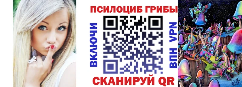 Псилоцибиновые грибы Psilocybine cubensis  Арск 